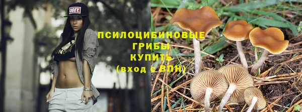 mix Костерёво