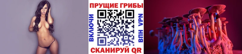 как найти наркотики  Кудрово  Псилоцибиновые грибы мицелий 